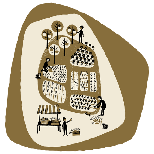 📚 Organise – Making Space for What Matters